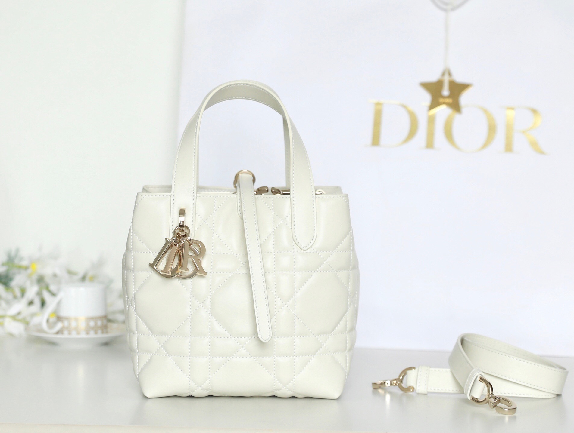 Dior Toujours bag