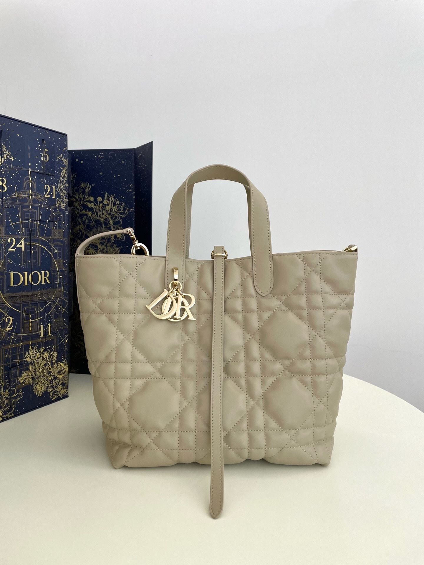 Dior Toujours bag