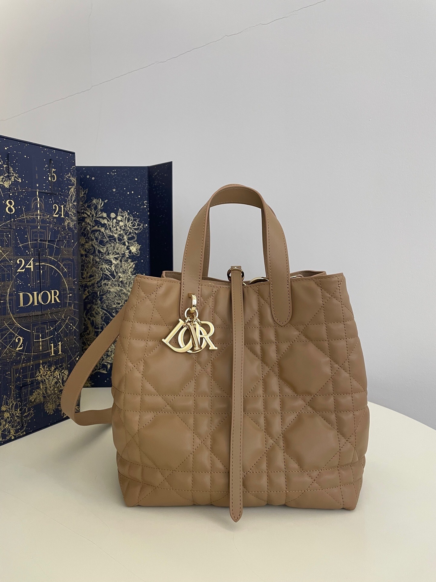 Dior Toujours bag