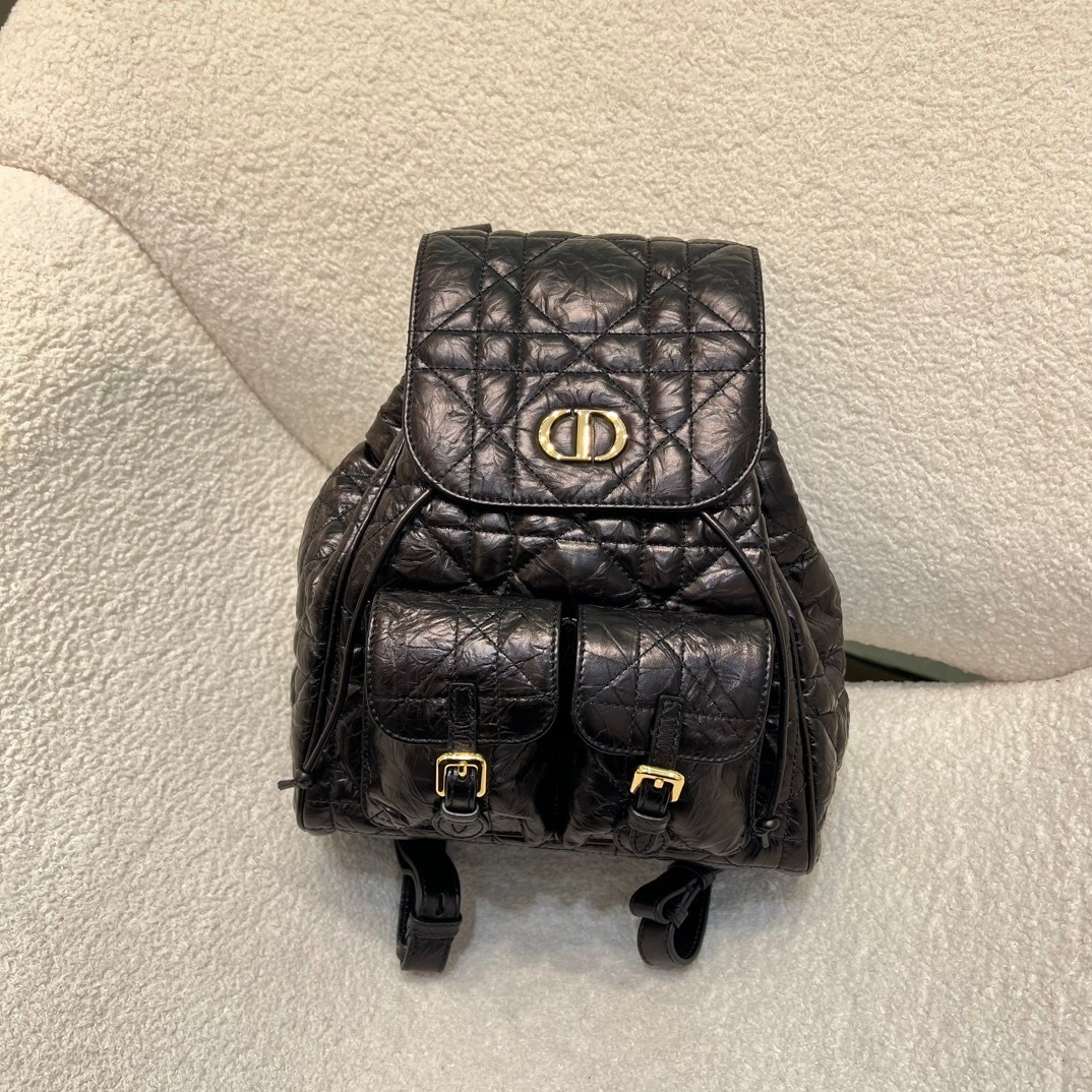 Dior Caro backpack medium and small