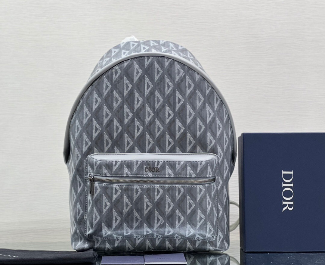 Dior Rider backpack in gray CD Diamond canvas