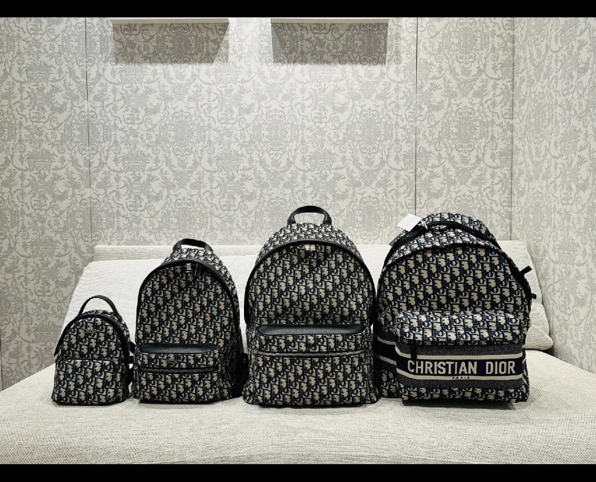 Christian Dior Backpack all sizes