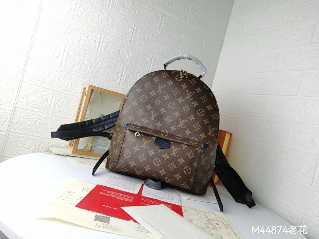 LV Palm Springs MM backpack in Monogram canvas