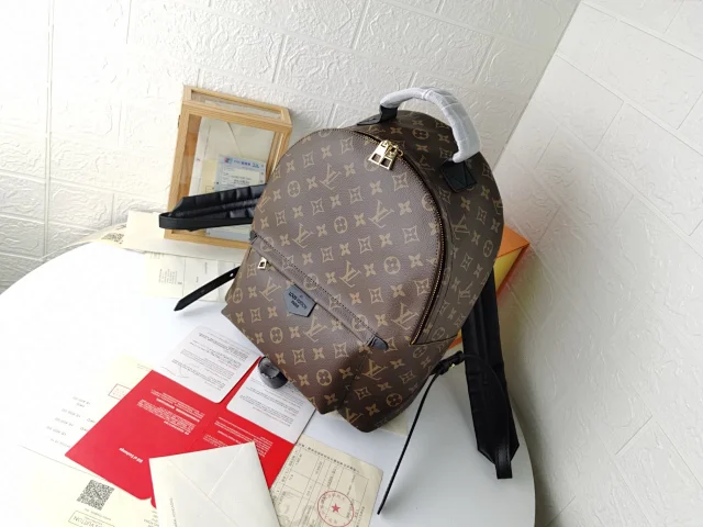 LV Palm Springs MM backpack in Monogram canvas