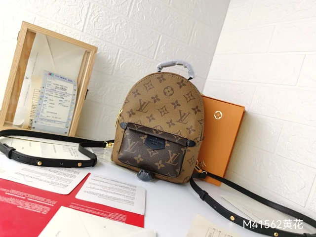 LV Palm Springs Mini backpack in Monogram canvas.