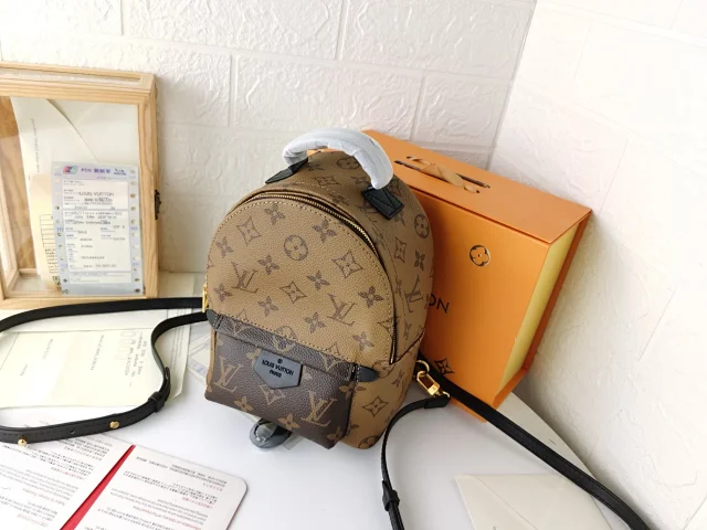 LV Palm Springs Mini backpack in Monogram canvas.