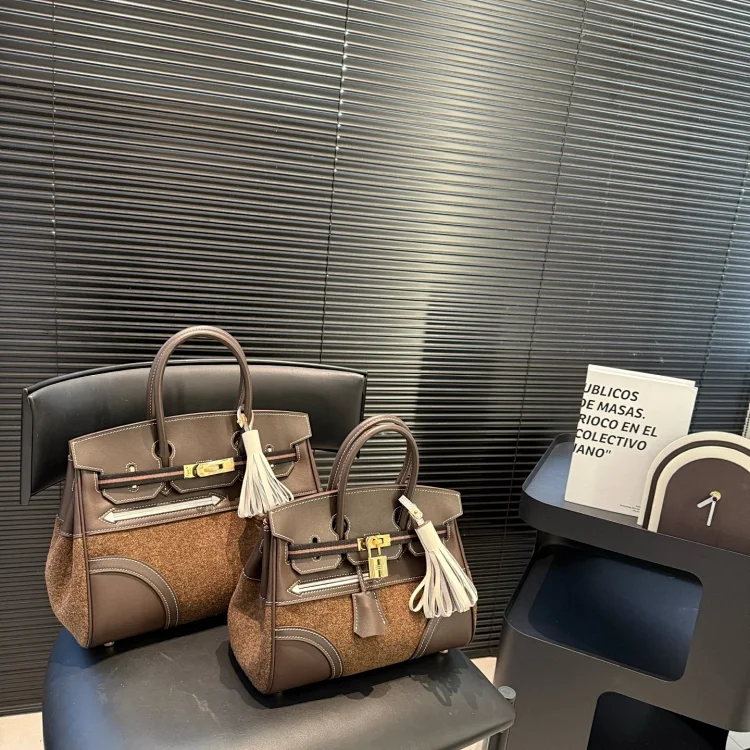 Hermès Birkin 25 Go Team bag in Ebene with Palladium hardware