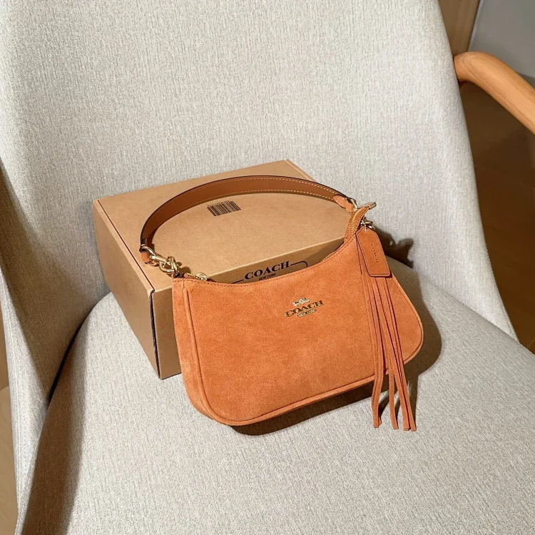 Coach Teri Mini Crossbody Bag in suede
