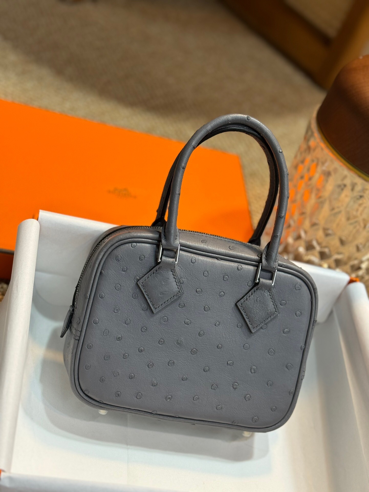 Hermès Mini Plume bag in ostrich leather all colors tote