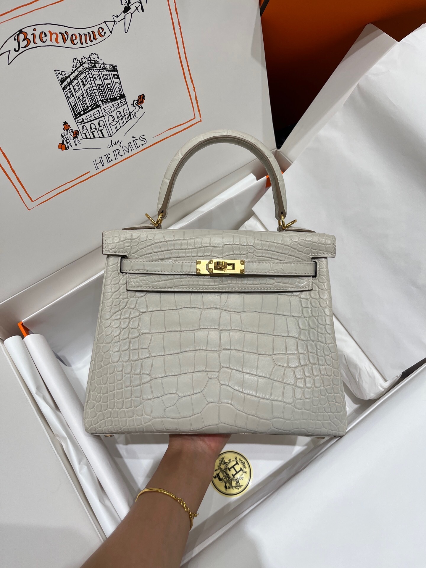 Hermes Kelly 25 handbag croco leather top handle bag