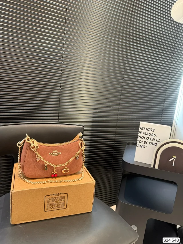 Coach Teri Shoulder Bag