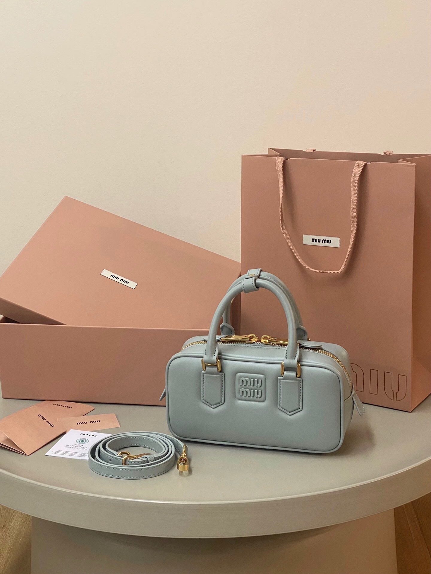 Miu Miu Arcadie leather mini bag