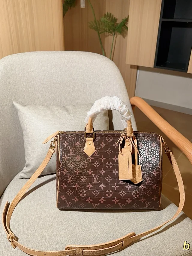 LV Speedy 30 Monogram handbag