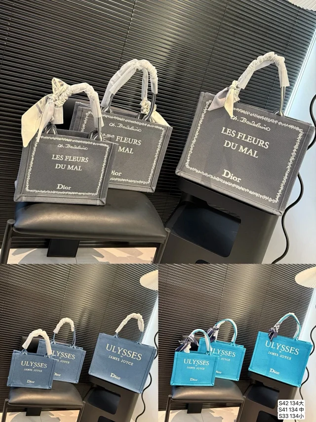 Dior Book Tote bag with "ULYSSES JAMES JOYCE" printed on it