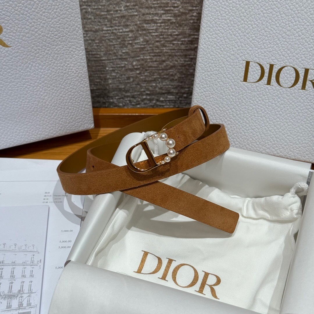 Dior suede women's belt brown