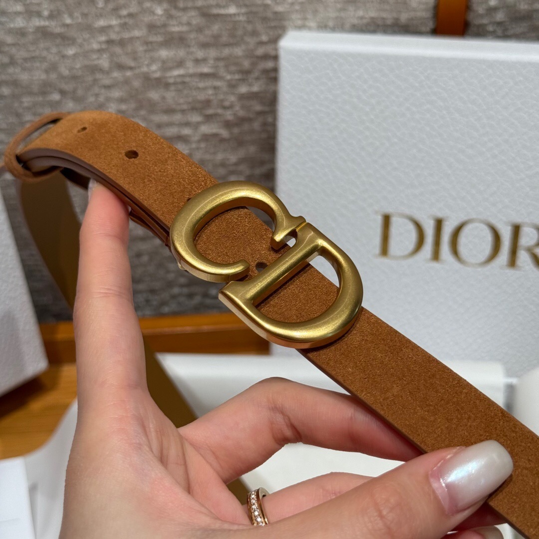 Dior Belt "CD" buckle Brown