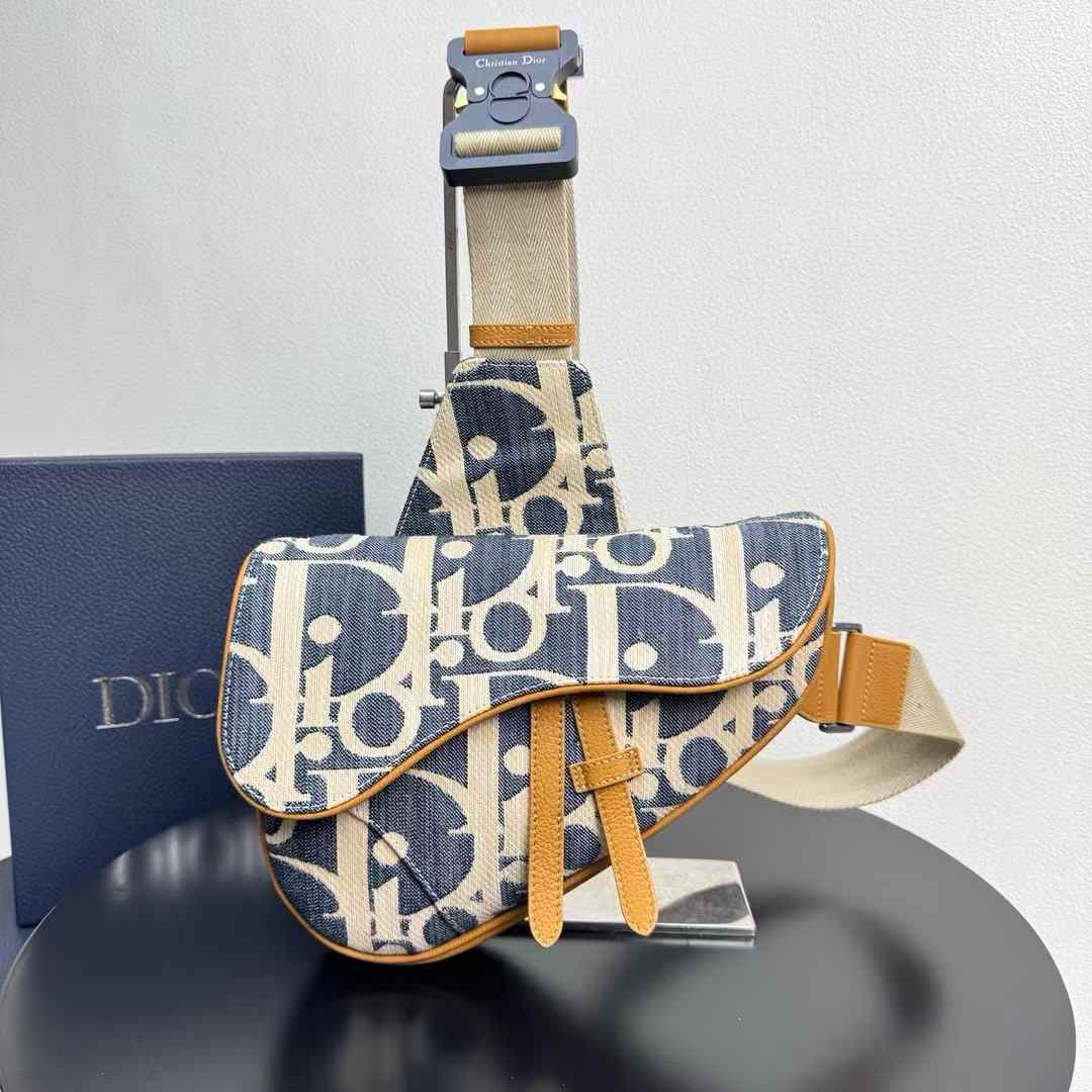 Dior Saddle Bag embroidery blue