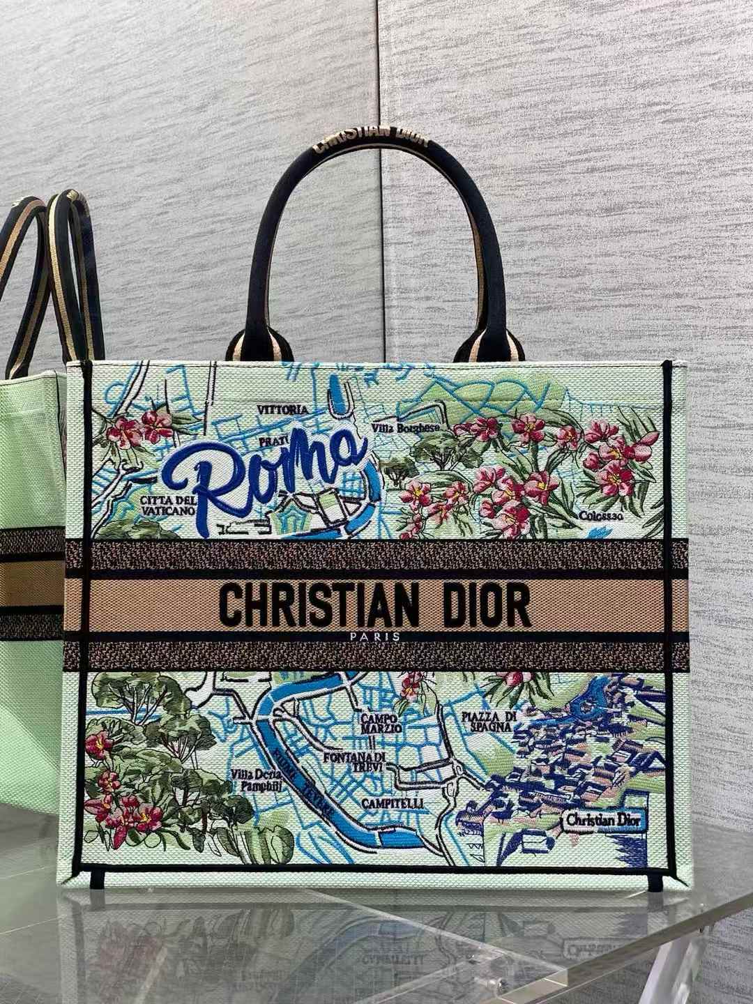 Dior Book Tote bag