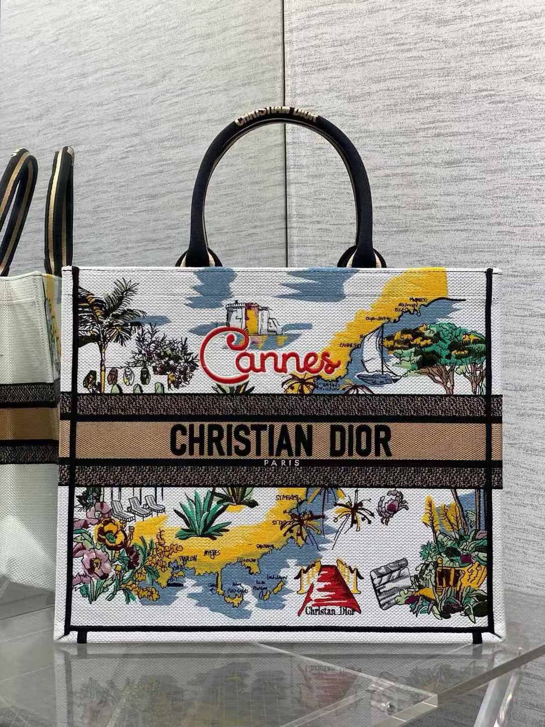 Dior Book Tote bag