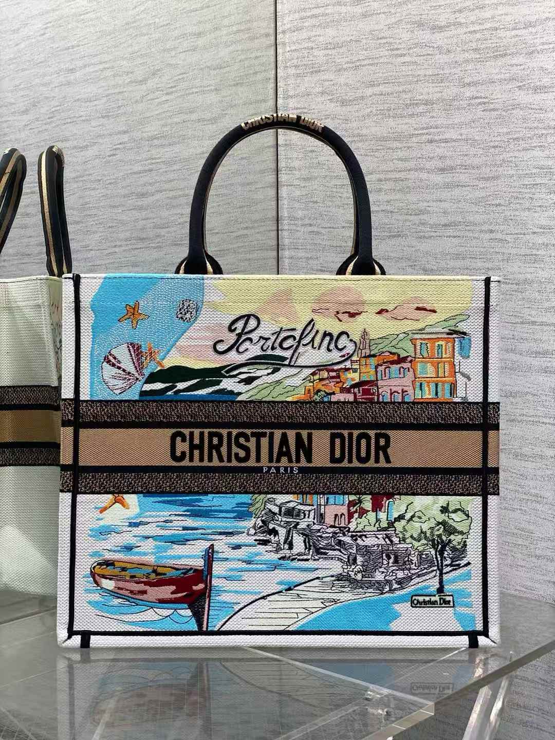 Dior Book Tote bag