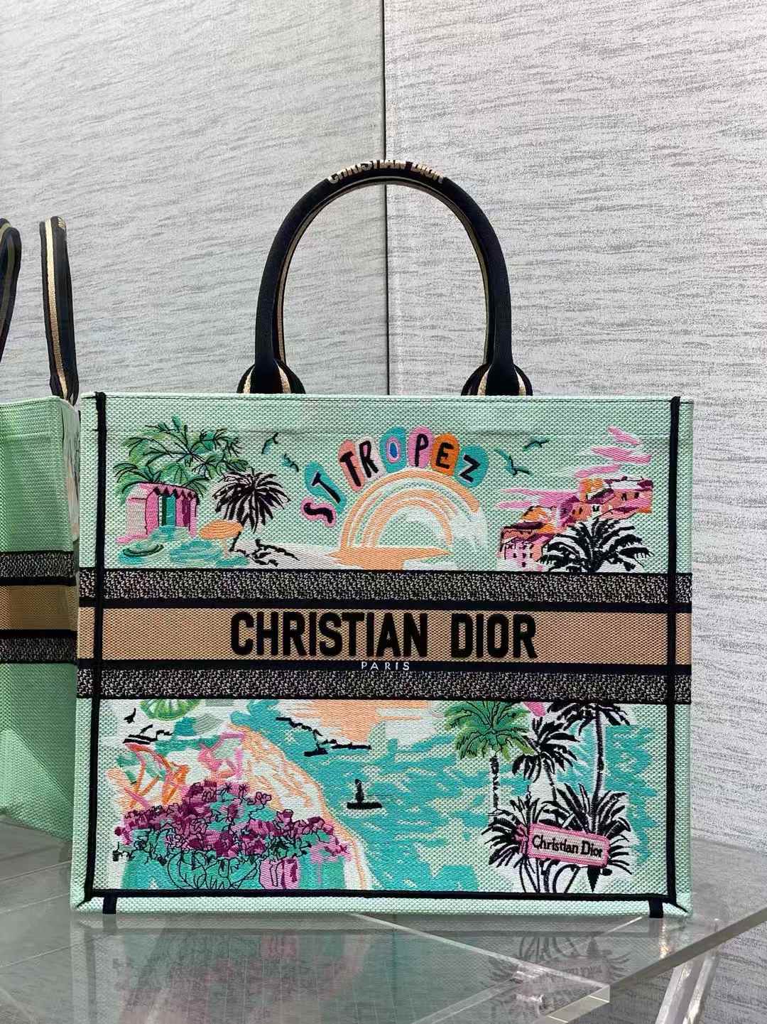 Dior Book Tote bag