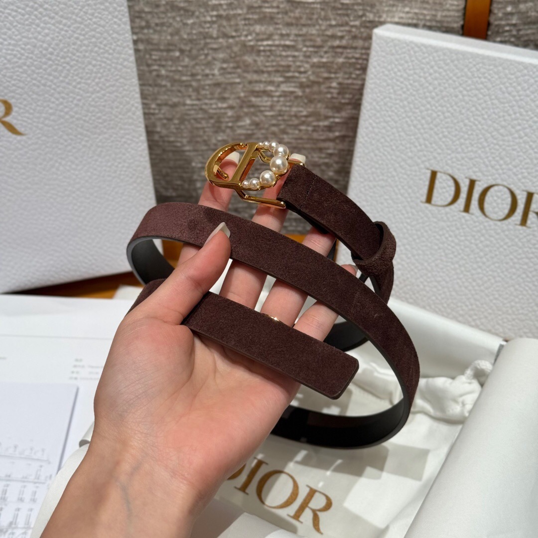 Dior belt with a gold-finish brass CD buckle and a brown suede strap