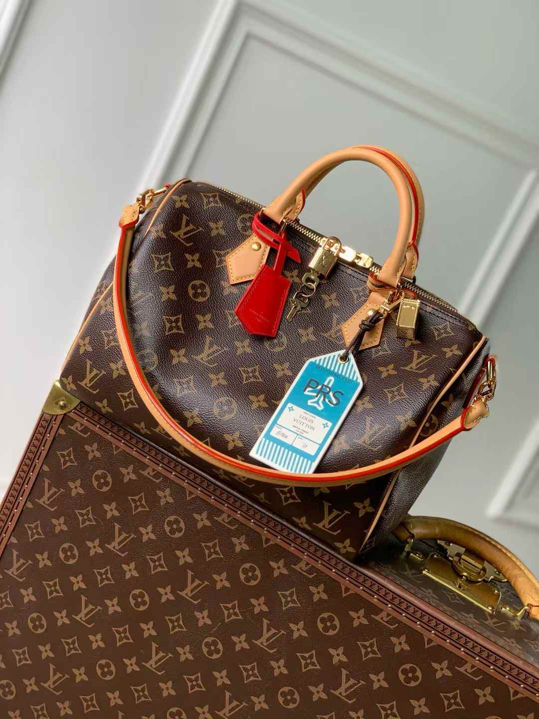 LV Speedy Soft 30 Crafty Monogram bag