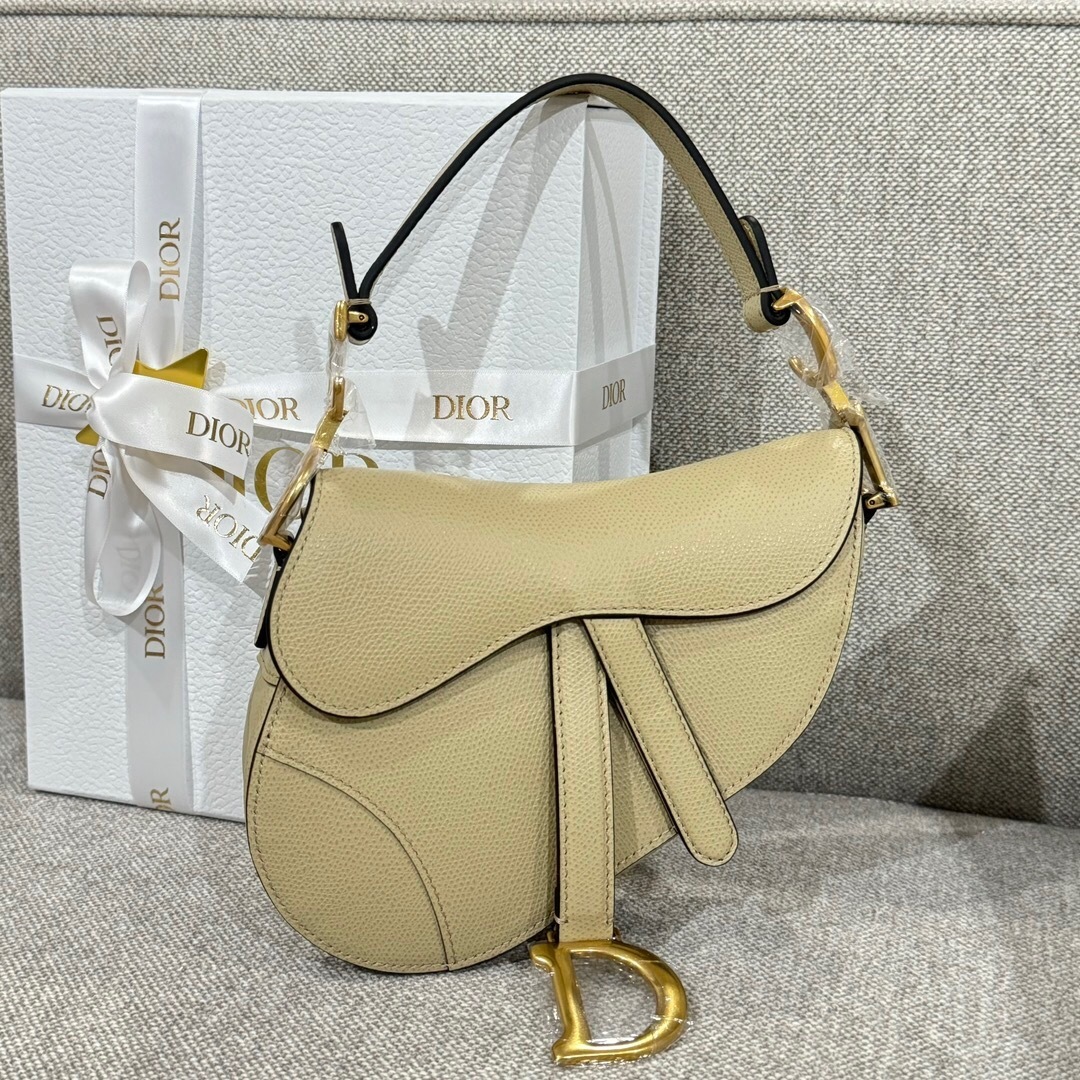 Dior Saddle Bag