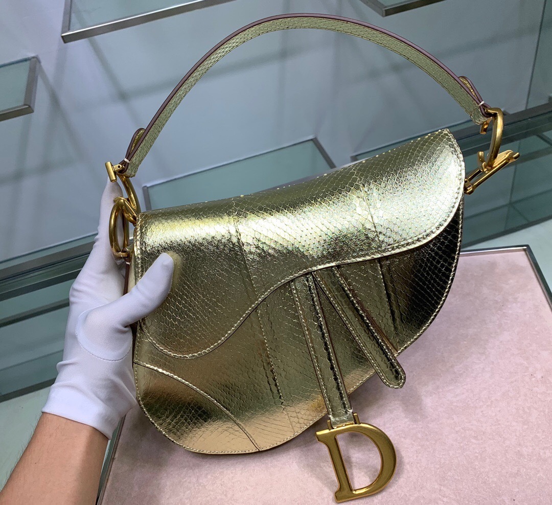 Dior Saddle bag