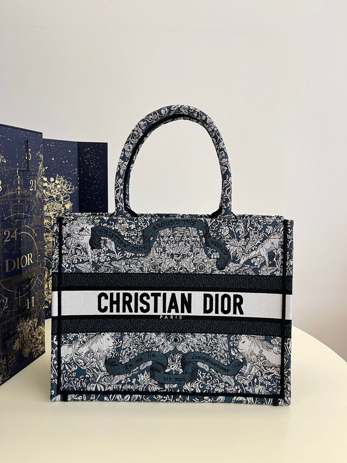 Dior Book Tote bag