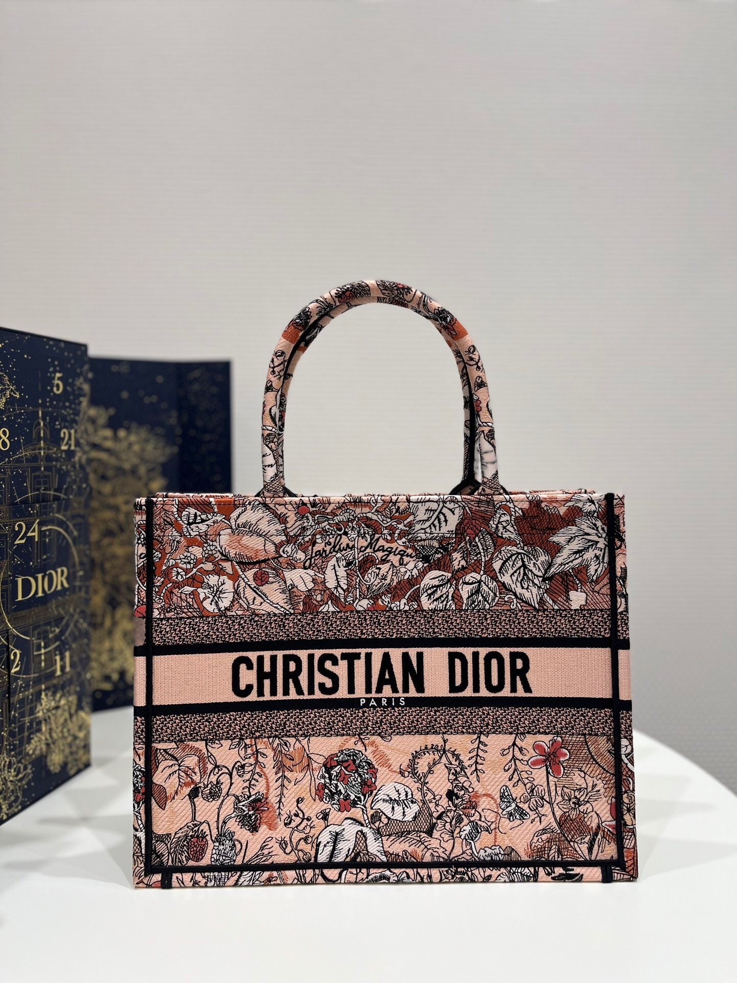 Dior Book Tote bag