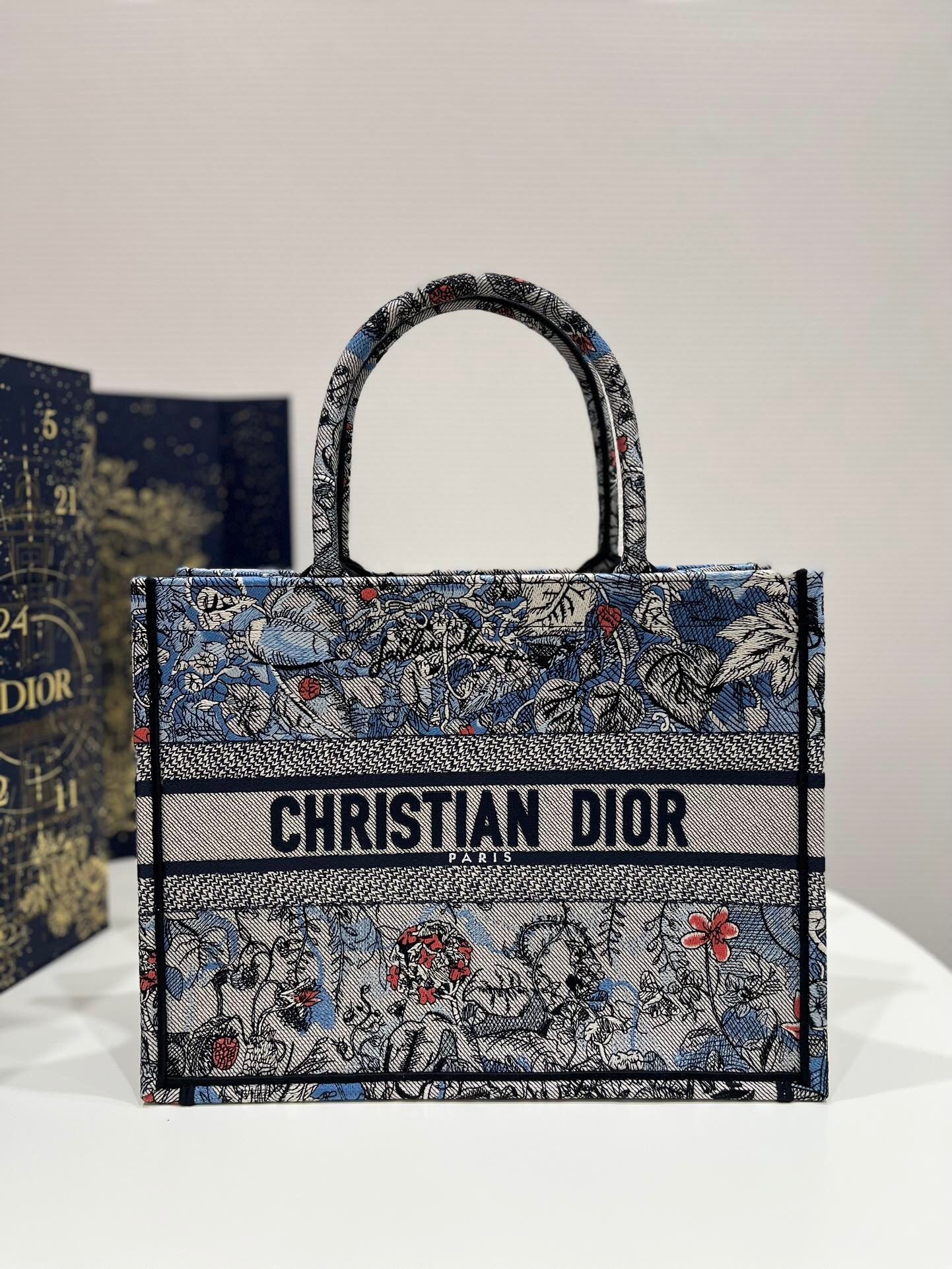 Dior Book Tote Bag