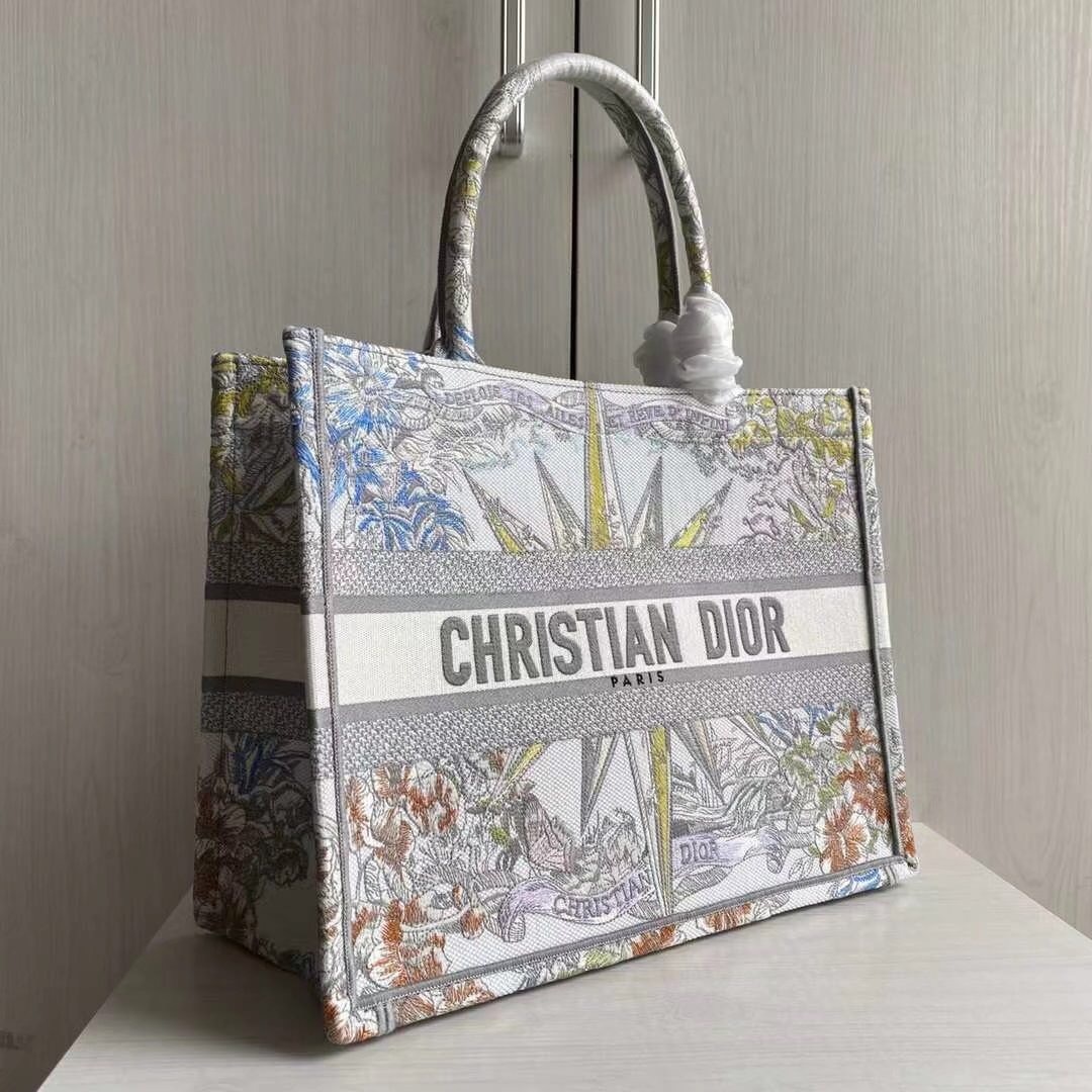 Dior Book Tote bag