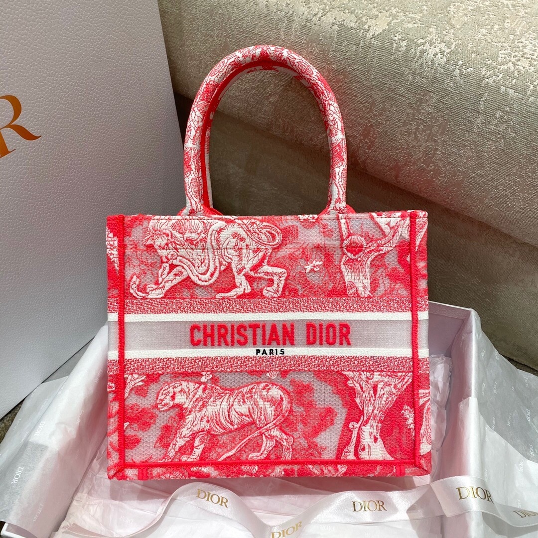 Dior Book Tote bag