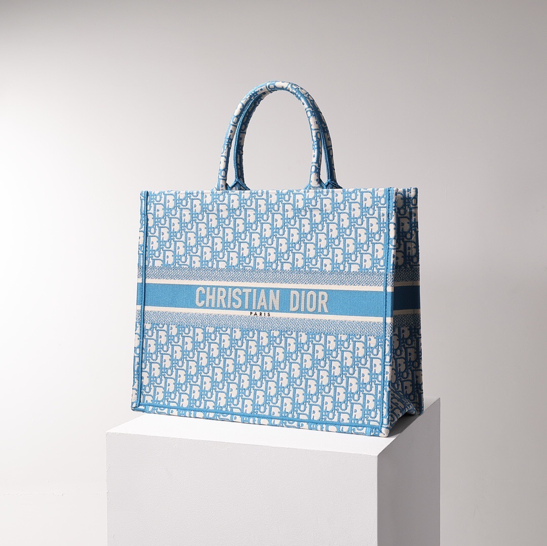 Dior Book Tote bag Blue