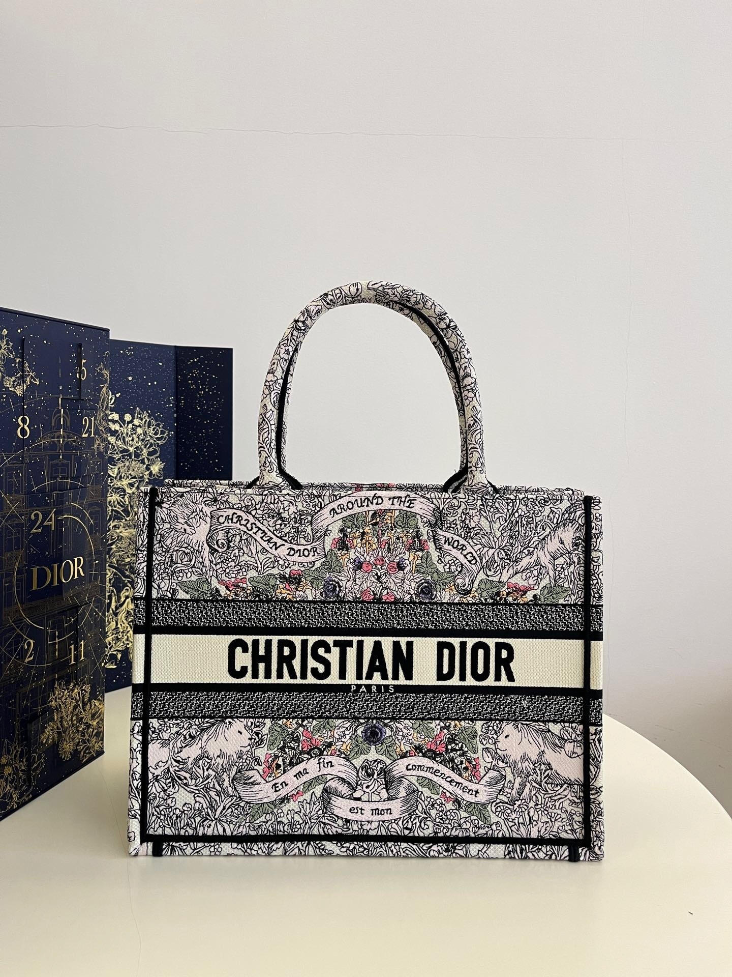 Dior Book Tote Bag
