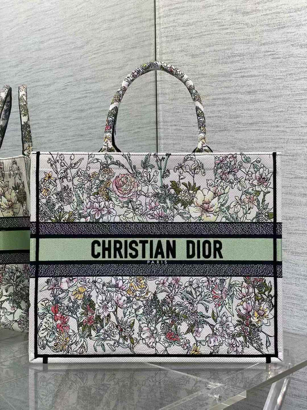 Dior Book Tote bag