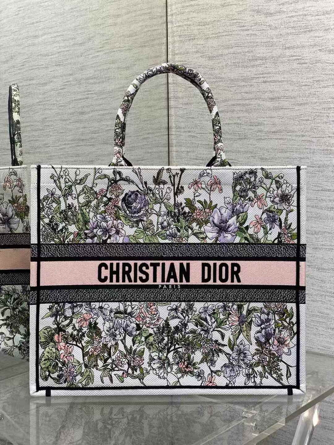 Dior Book Tote bag