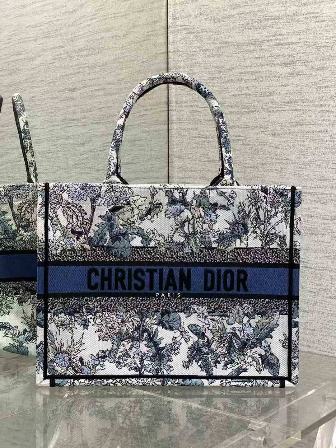 Dior Book Tote bag