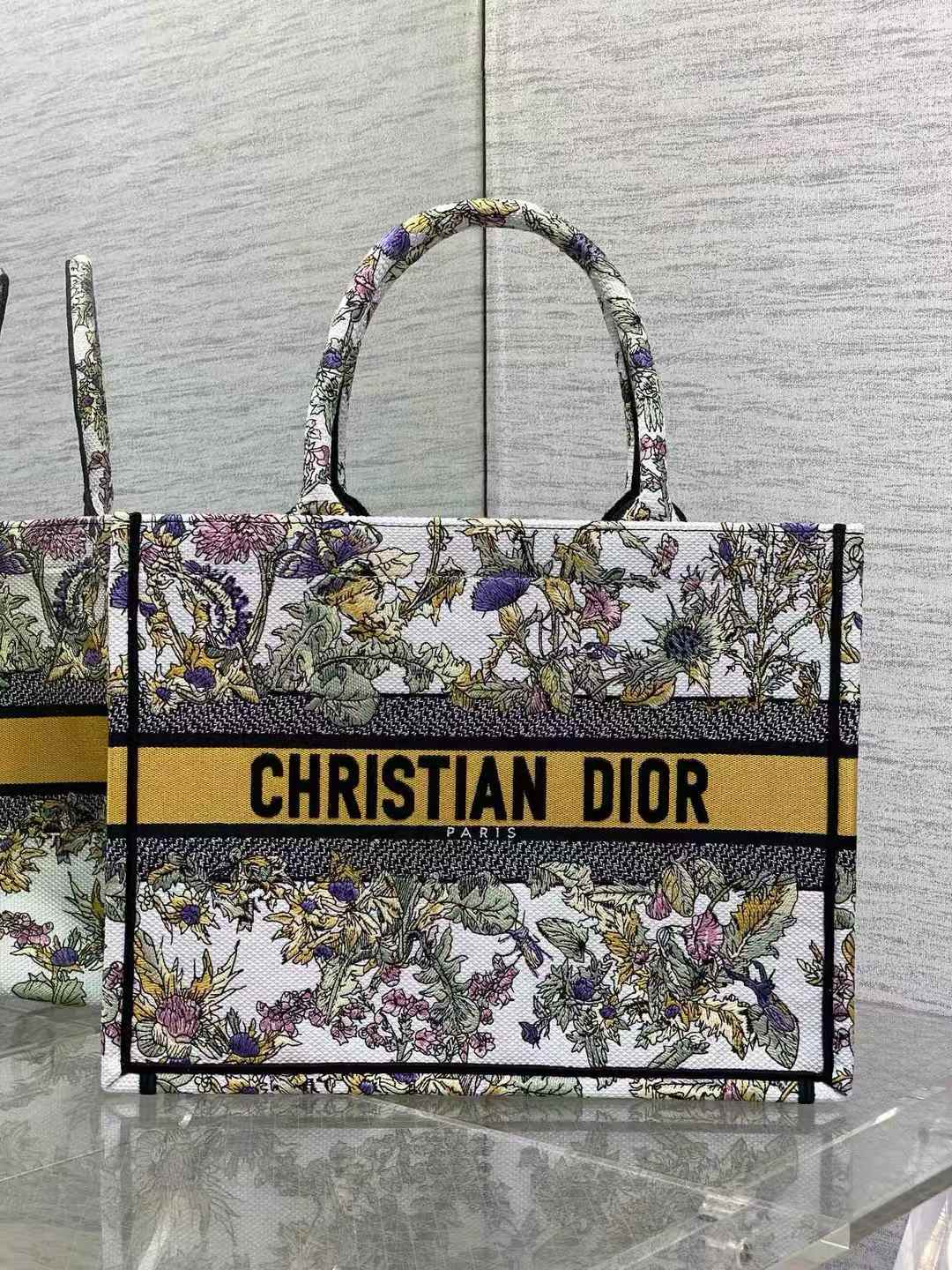 Dior Book Tote bag