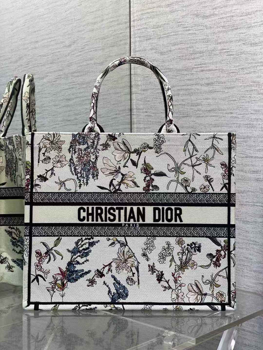 Dior Book Tote bag
