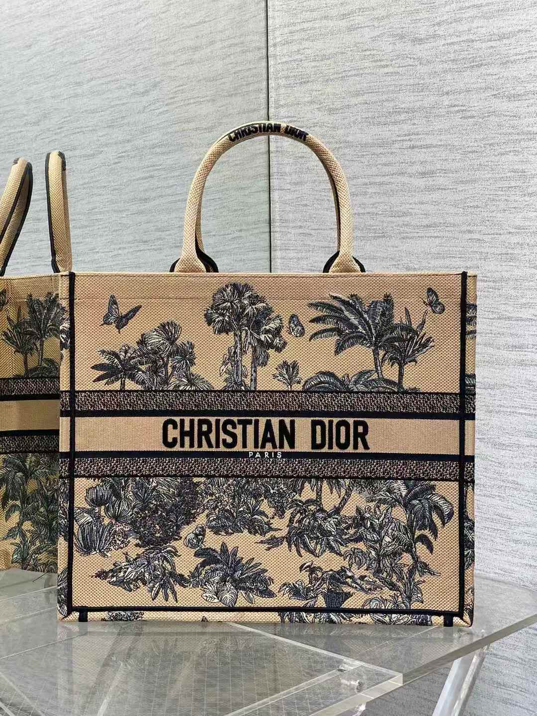 Dior Book Tote Bag