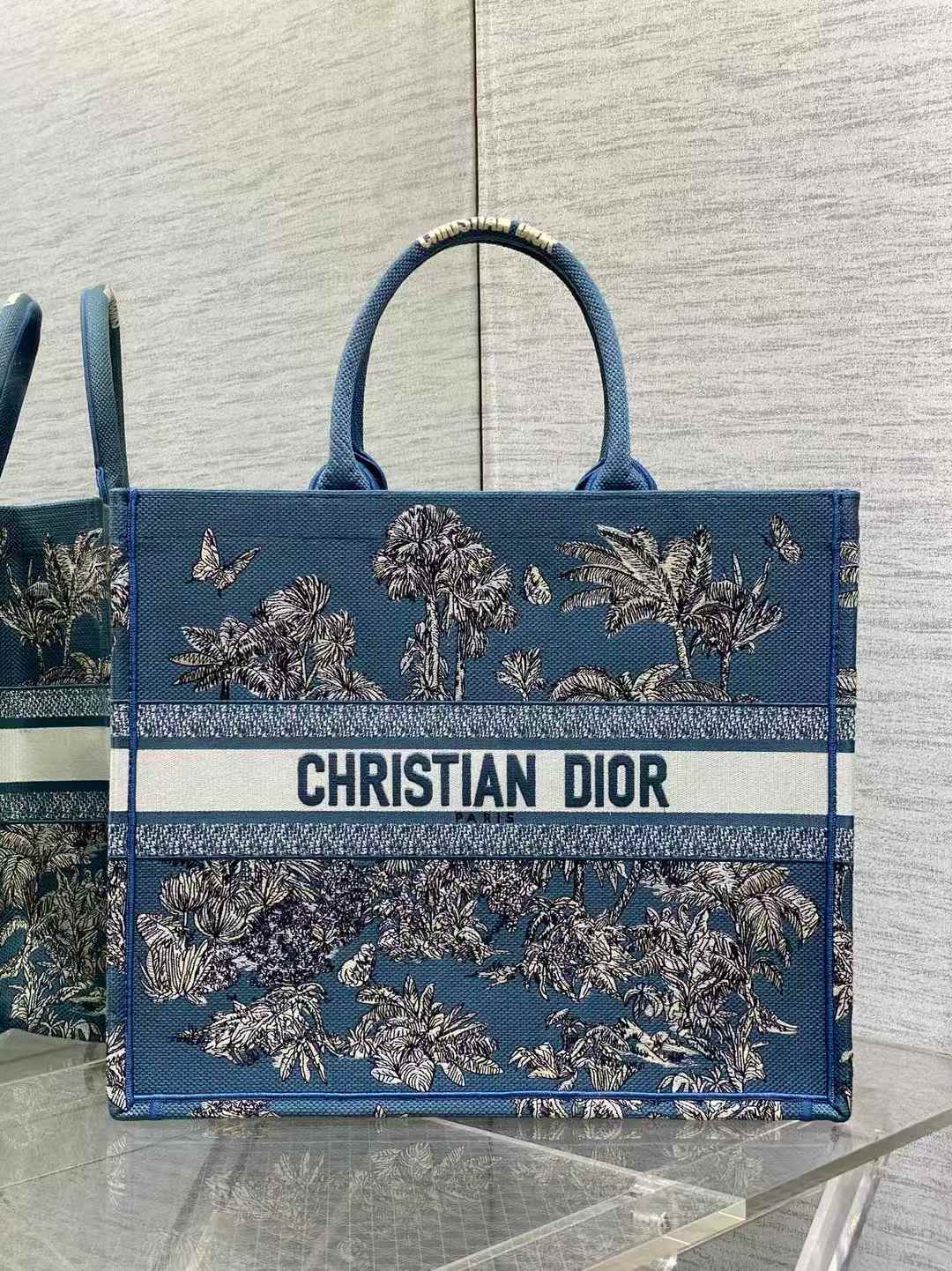 Christian Dior Book Tote bag