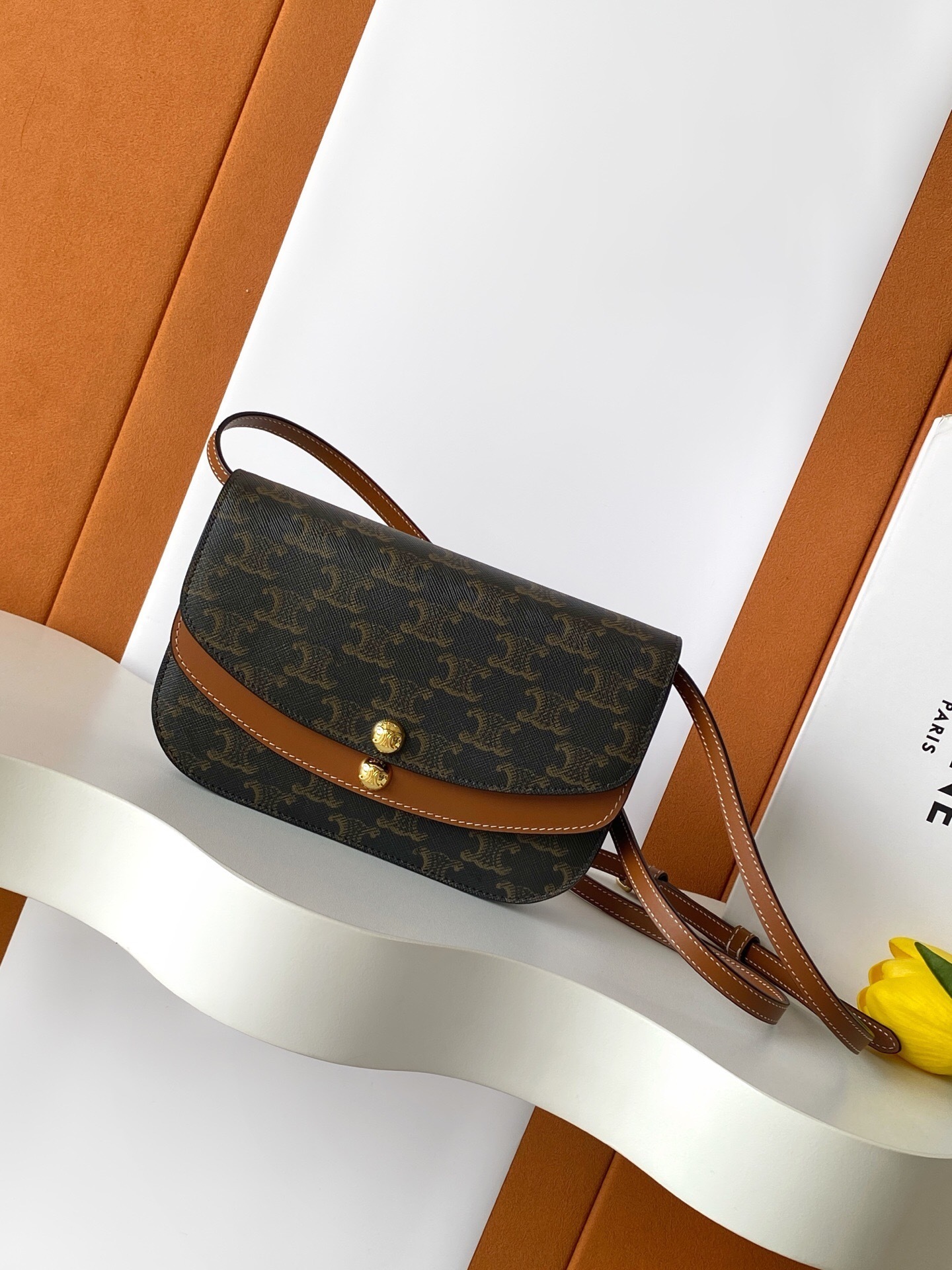 Celine Duo Wallet on Strap in Triomphe Canvas and Calfskin in tan