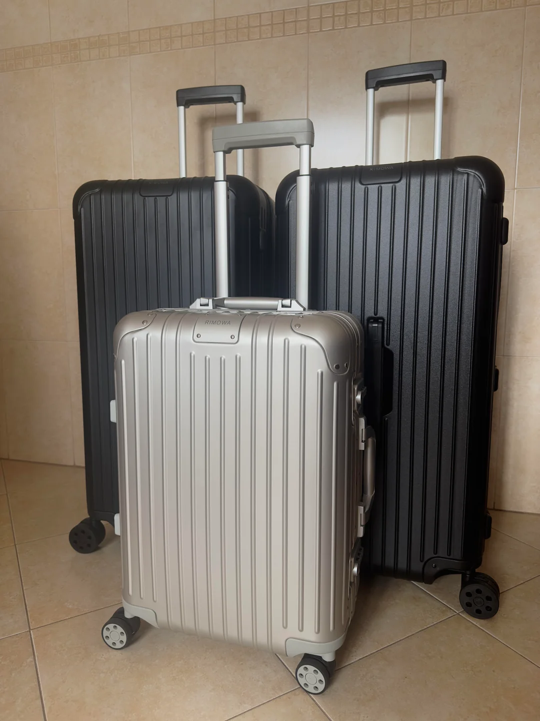 Rimowa Original Cabin & Rimowa Essential Trunk Plus trolley bags