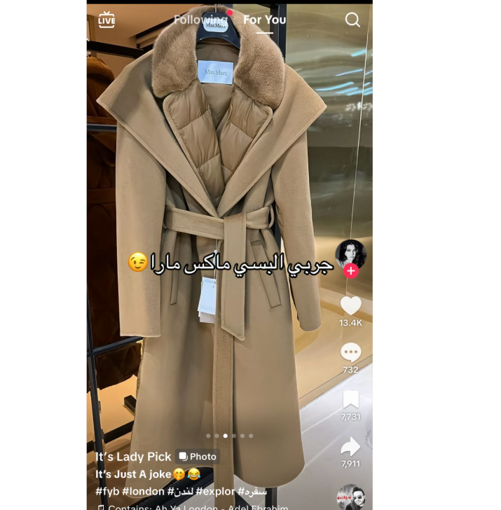 Max Mara camel down coat