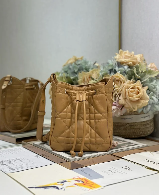 Dior Small D-Motion Handbag in Brown