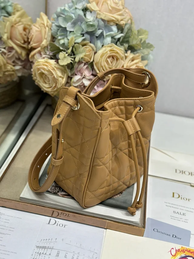 Dior Small D-Motion Handbag in Brown