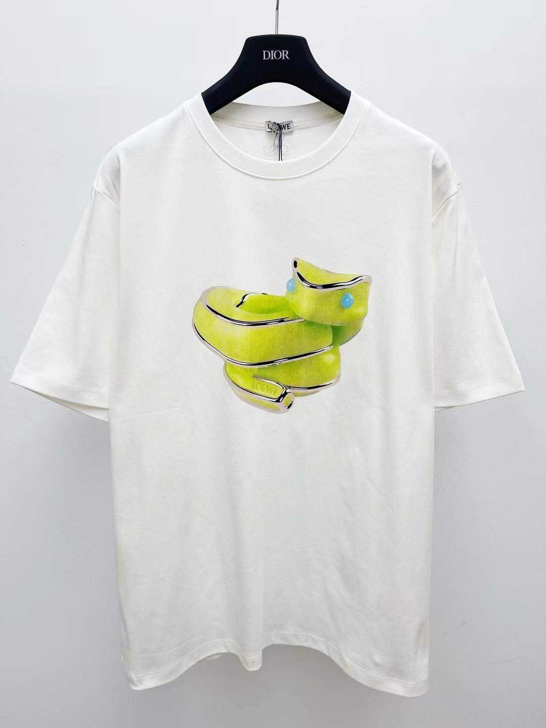 Loewe Relaxed fit T-shirt in technical cotton with a snake graphic print