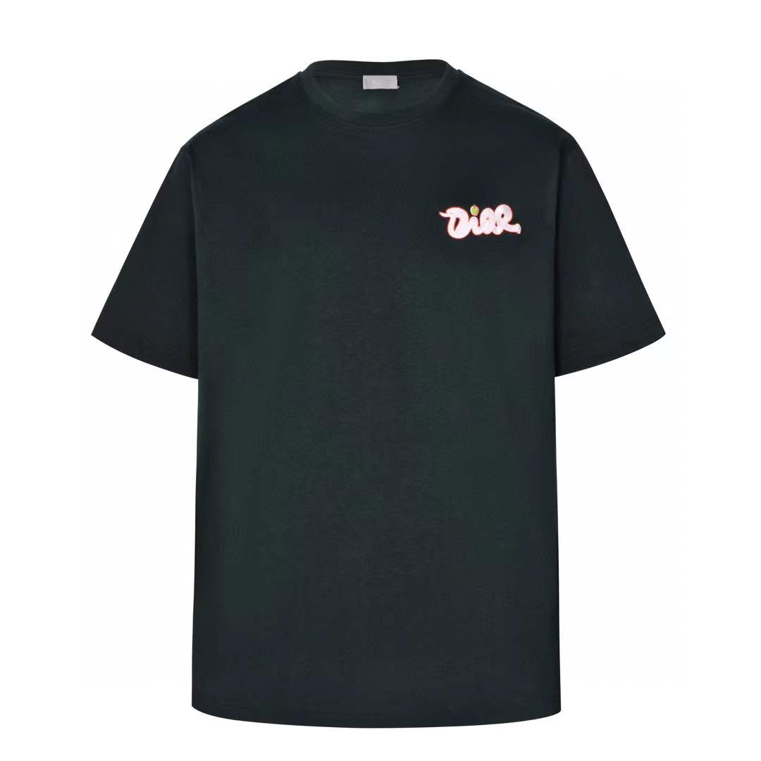 Christian Dior x KAWS embroidered crew neck t-shirt